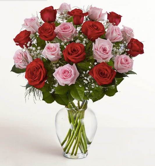 Long Stem Pink + Red Roses