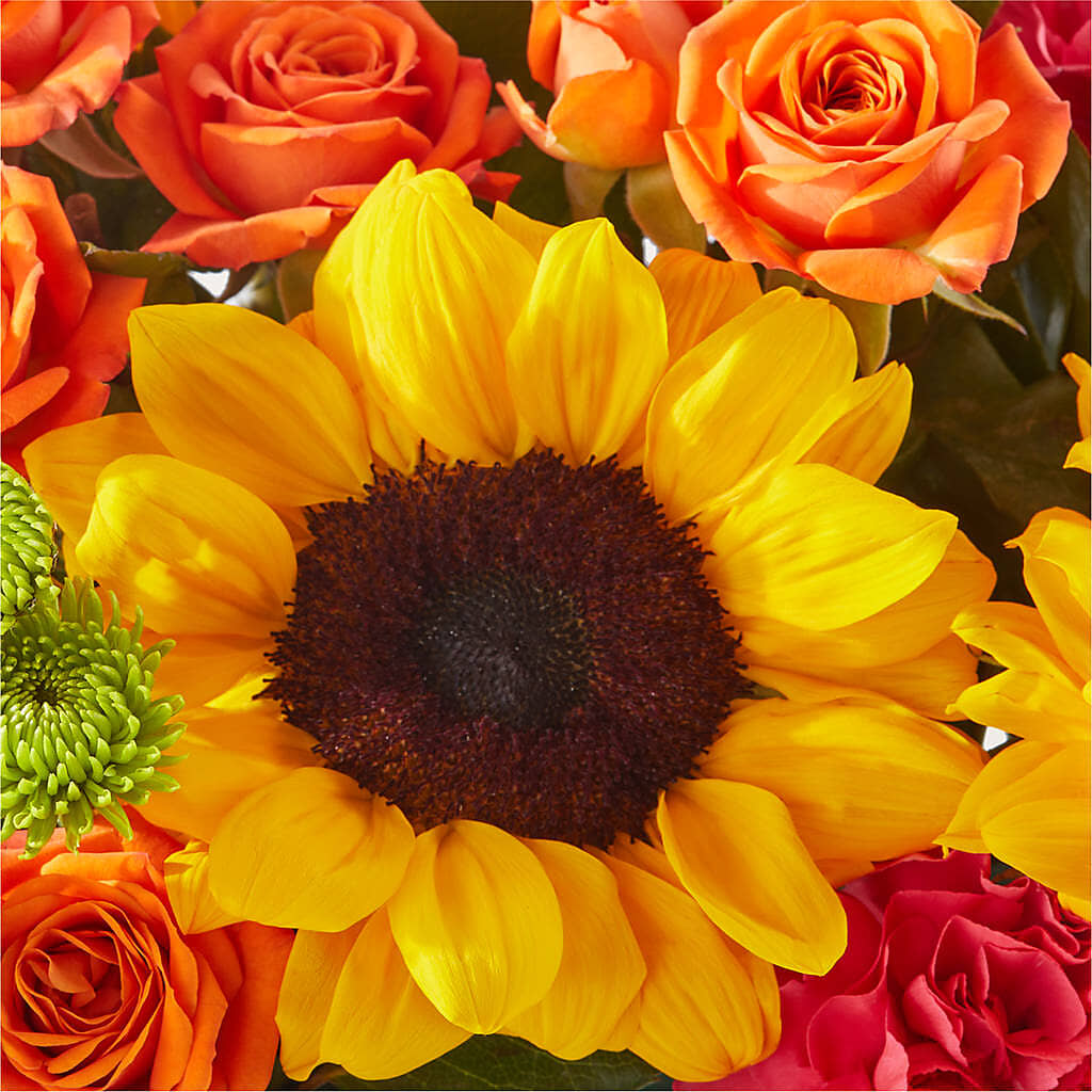 Sun-drenched Blooms Box Bouquet –  Blossom Street Florist, Lauderhill FL