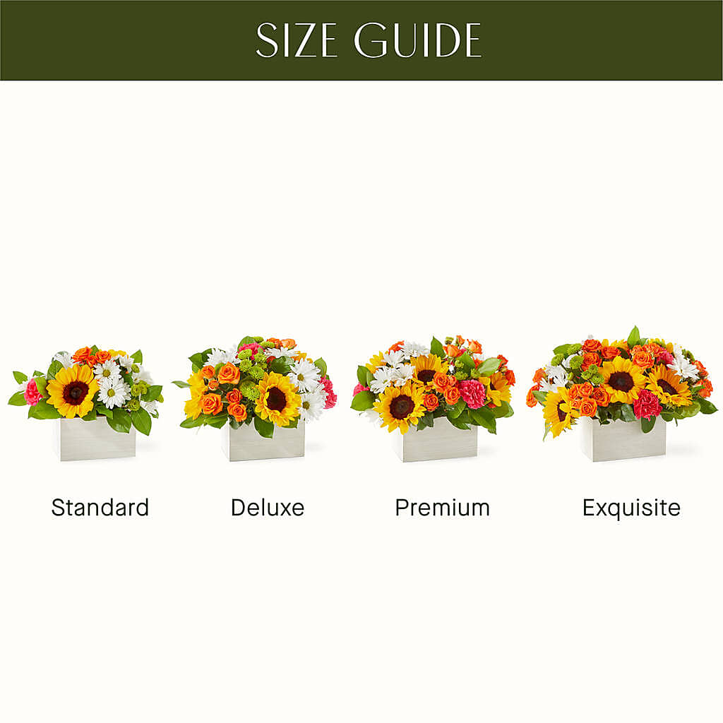 Sun-drenched Blooms Box Bouquet –  Blossom Street Florist, Lauderhill FL