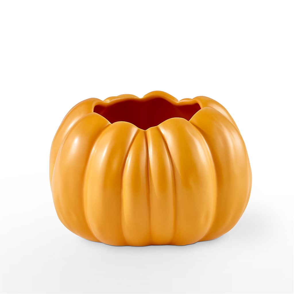 Pick of the Patch Pumpkin Bouquet –  Blossom Street Florist, Lauderhill FL