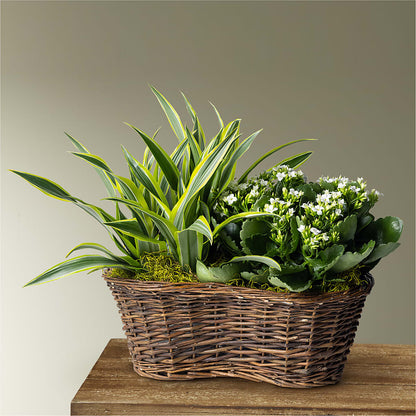 Blooming Garden –  Blossom Street Florist, Lauderhill FL