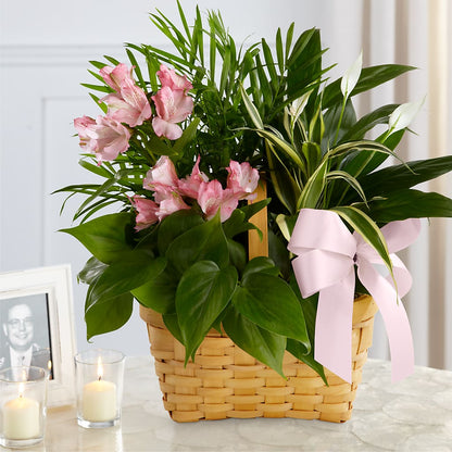 Living Spirit Dishgarden –  Blossom Street Florist, Lauderhill FL