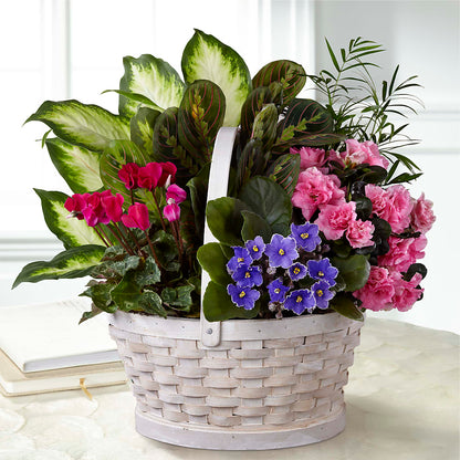 Peaceful Garden Planter –  Blossom Street Florist, Lauderhill FL