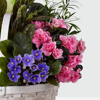 Peaceful Garden Planter –  Blossom Street Florist, Lauderhill FL