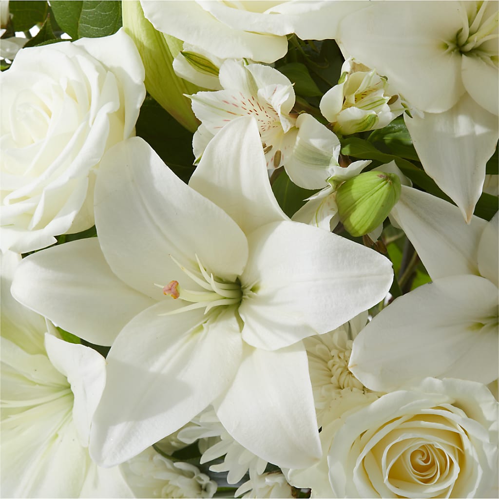 Peaceful Reflections Arrangement –  Blossom Street Florist, Lauderhill FL