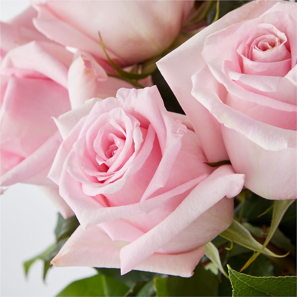 Picture Perfect Pink Rose Bouquet –  Blossom Street Florist, Lauderhill FL