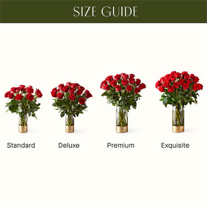 Classic Love Red Rose Bouquet –  Blossom Street Florist, Lauderhill FL