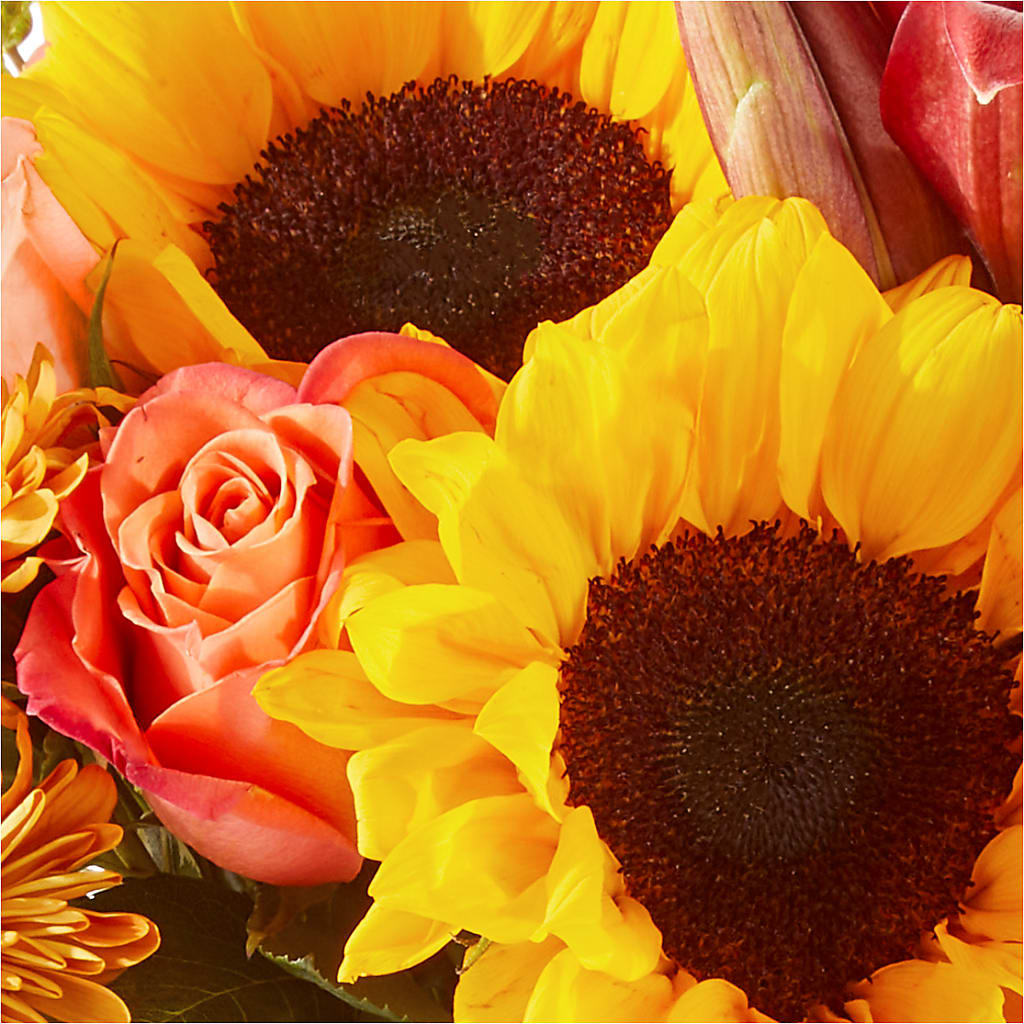 Acorn Lane Bouquet –  Blossom Street Florist, Lauderhill FL