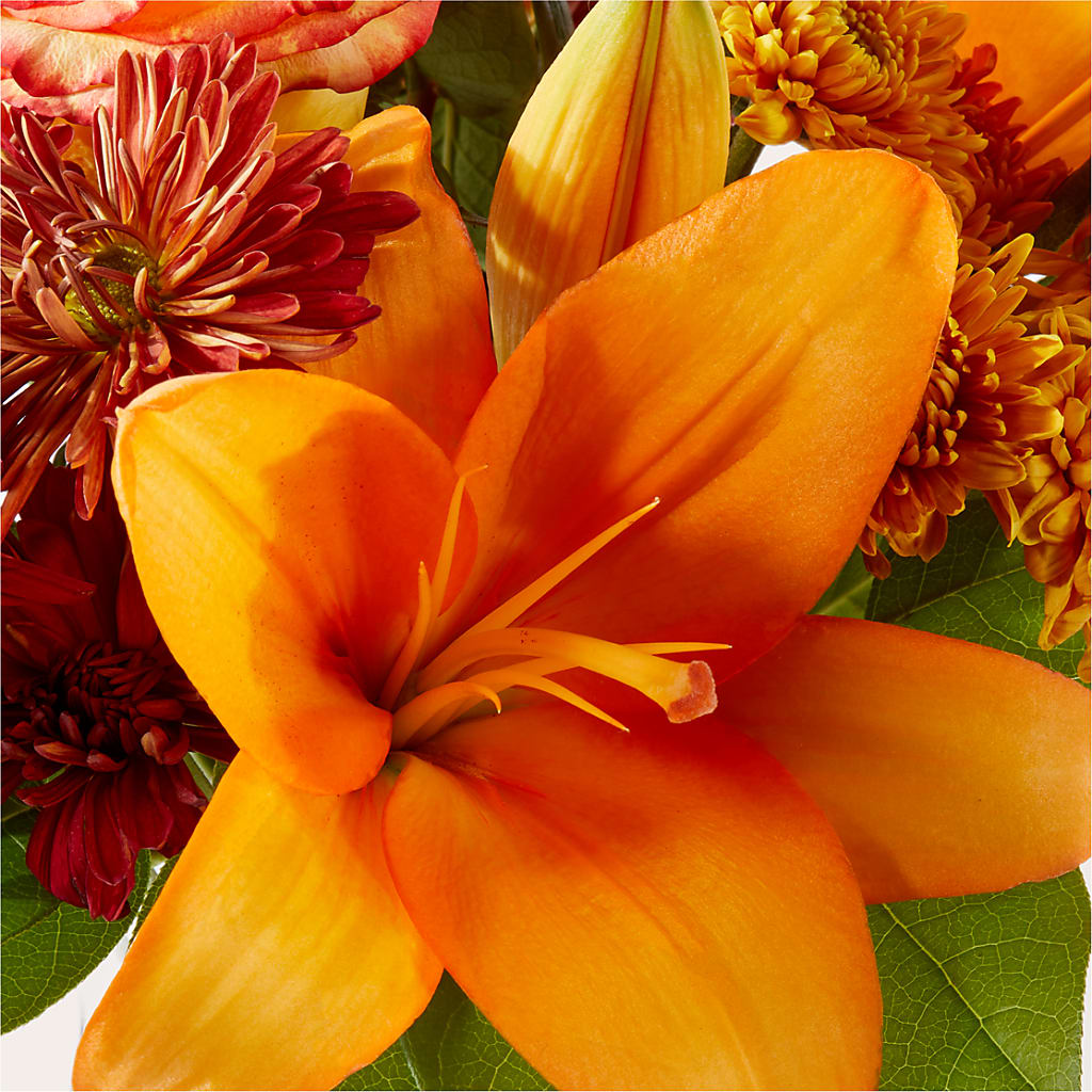 Autumnal Aroma Bouquet –  Blossom Street Florist, Lauderhill FL