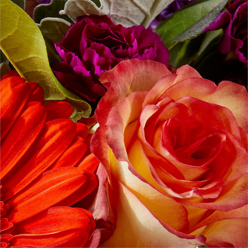 Sangria Bouquet –  Blossom Street Florist, Lauderhill FL
