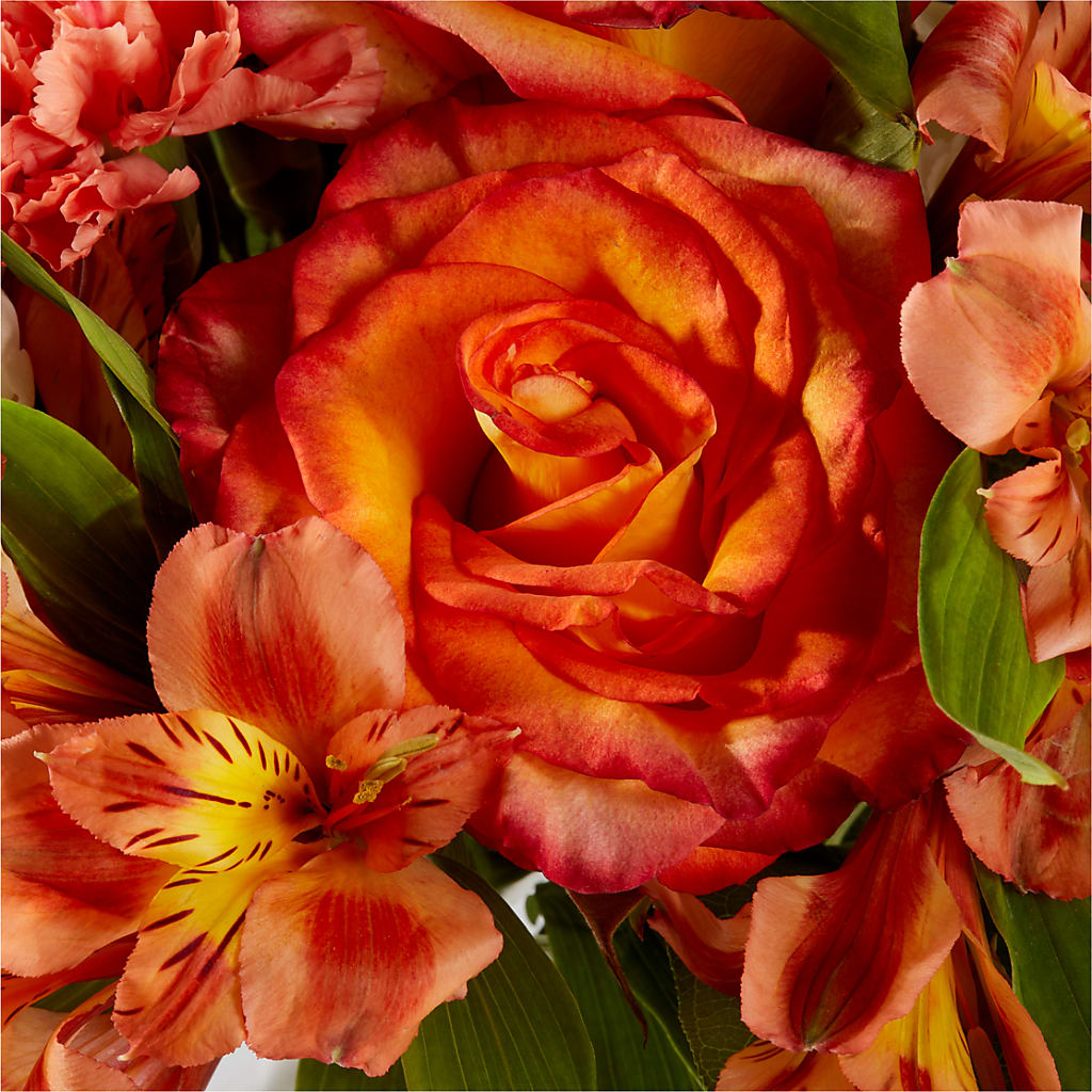 Apricot Glow Bouquet –  Blossom Street Florist, Lauderhill FL