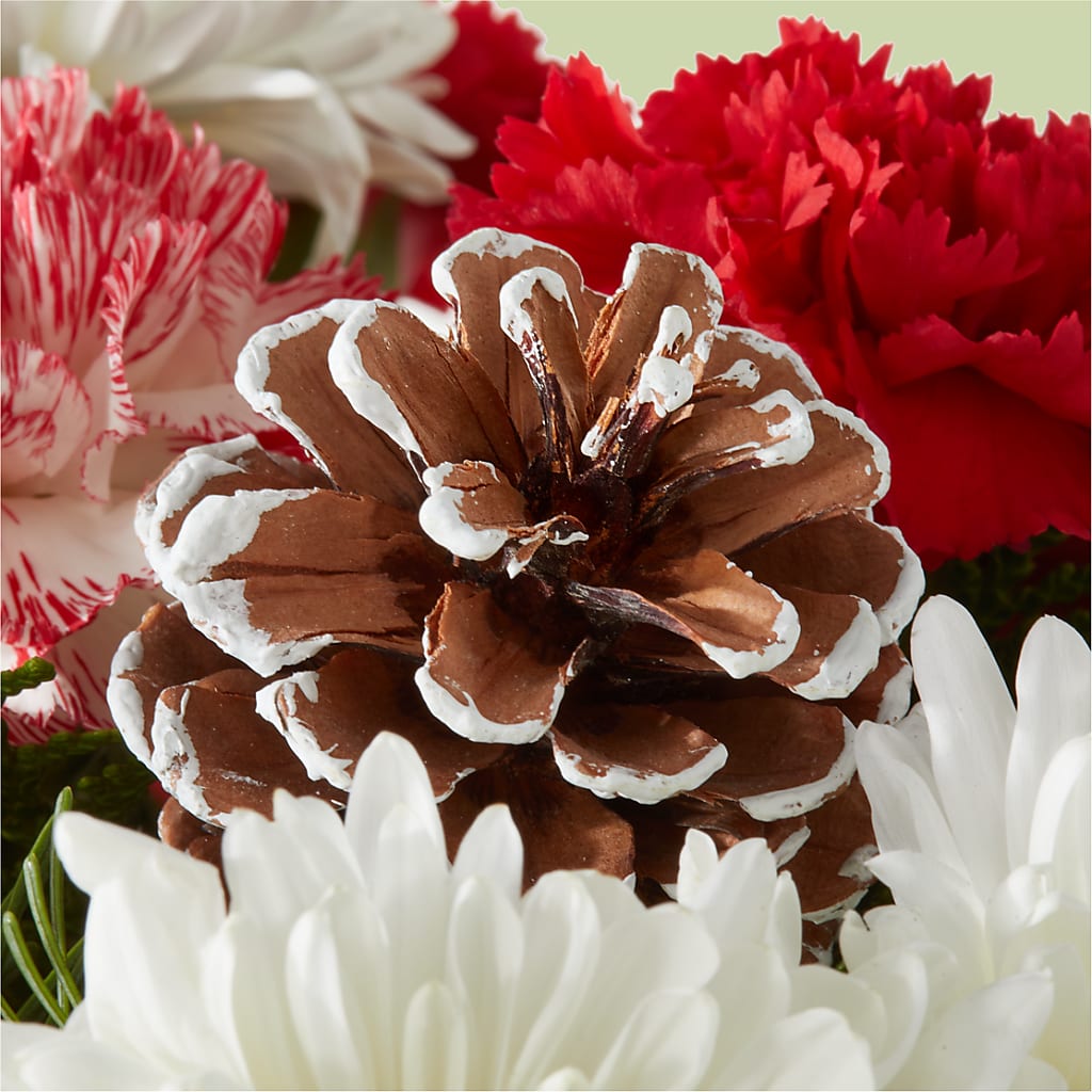 Candy Cane Lane Bouquet –  Blossom Street Florist, Lauderhill FL