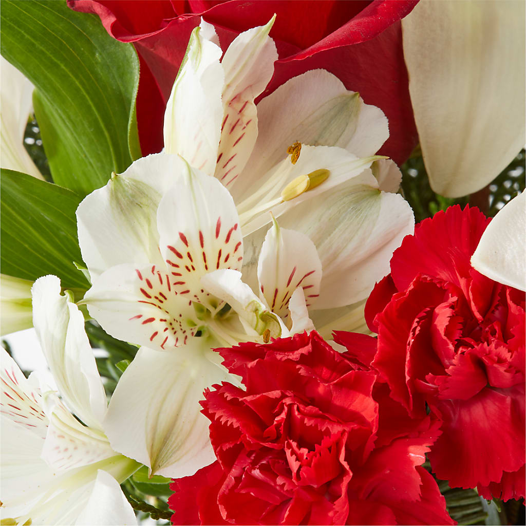 Holiday Season Bouquet –  Blossom Street Florist, Lauderhill FL