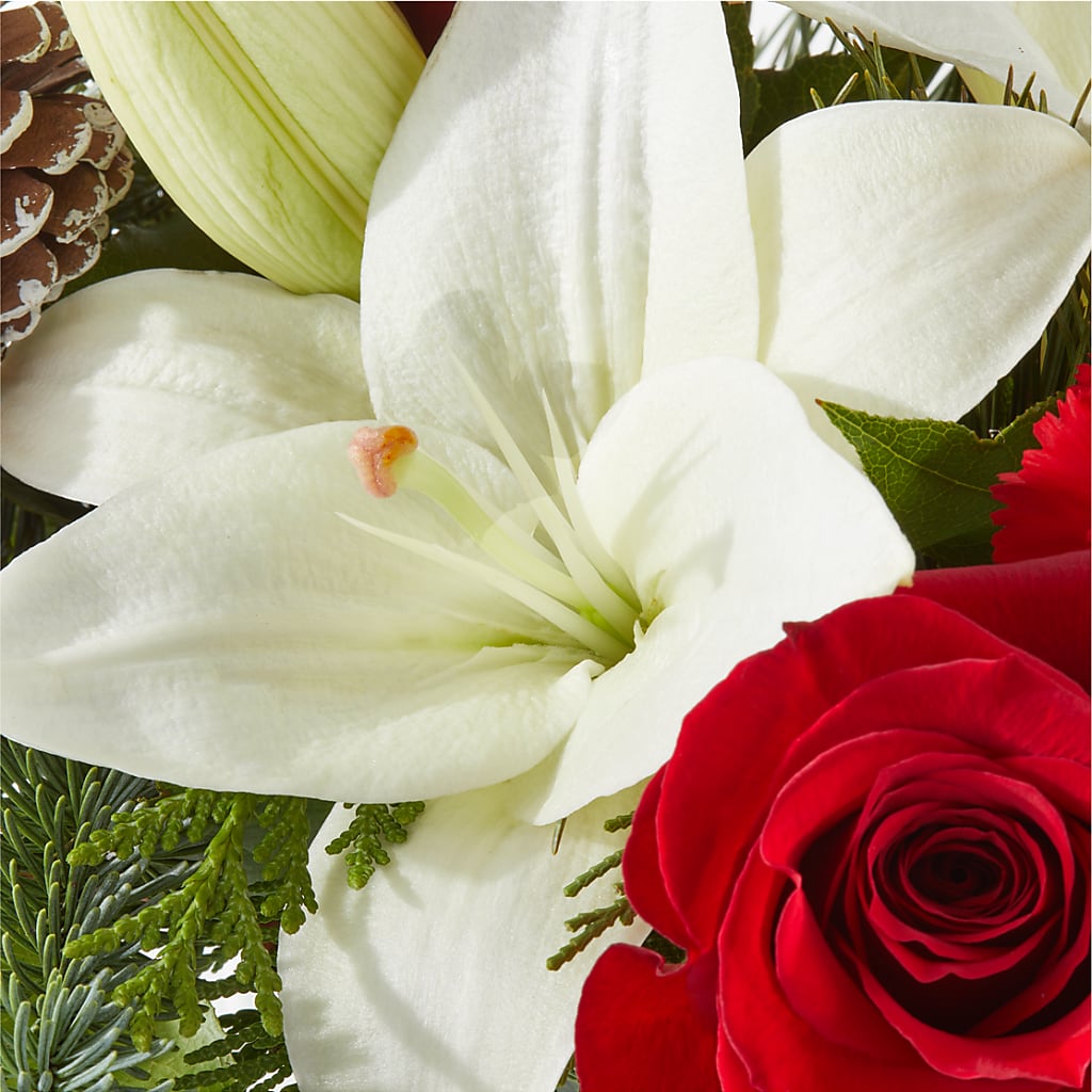 Oh So Jolly Bouquet –  Blossom Street Florist, Lauderhill FL