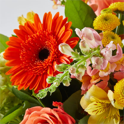 Autumn Sunshine Bouquet –  Blossom Street Florist, Lauderhill FL