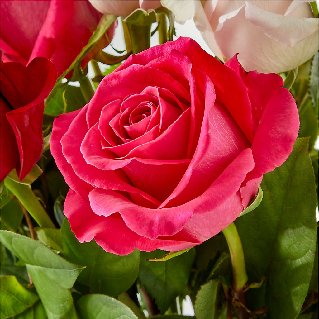 Charming Rose Bouquet –  Blossom Street Florist, Lauderhill FL