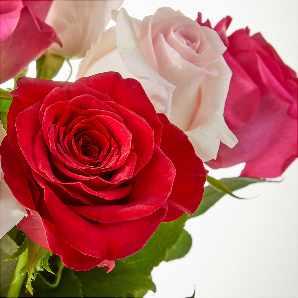 Charming Rose Bouquet –  Blossom Street Florist, Lauderhill FL