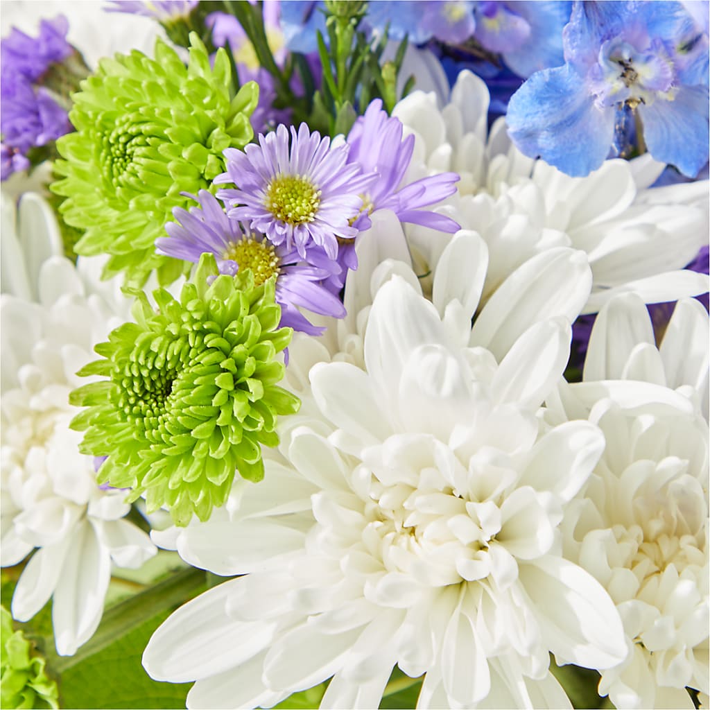 Genuine Gestures Bouquet –  Blossom Street Florist, Lauderhill FL