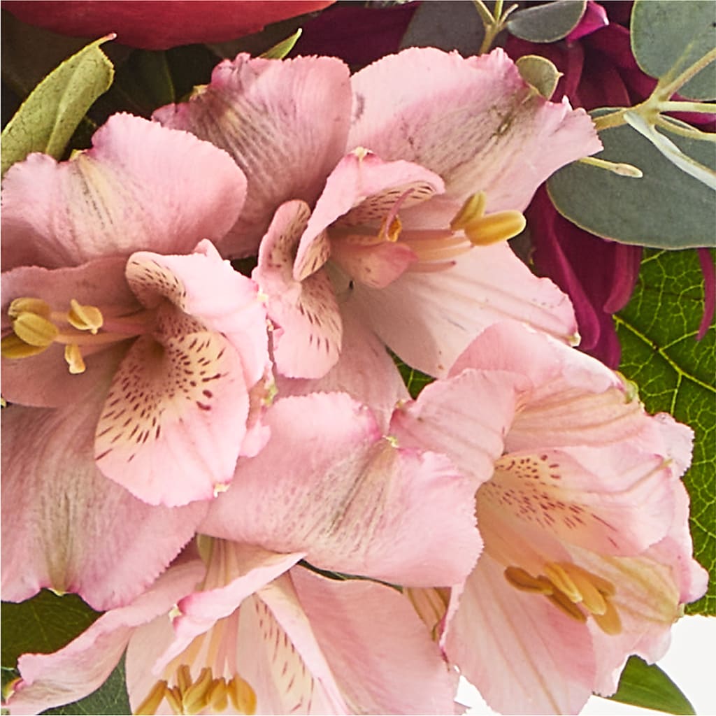 Berry Cobbler Bouquet –  Blossom Street Florist, Lauderhill FL
