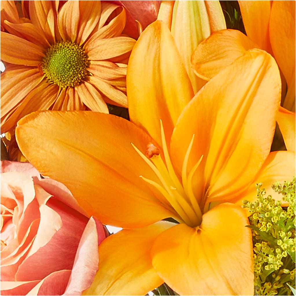 Harvest Hayride Bouquet –  Blossom Street Florist, Lauderhill FL