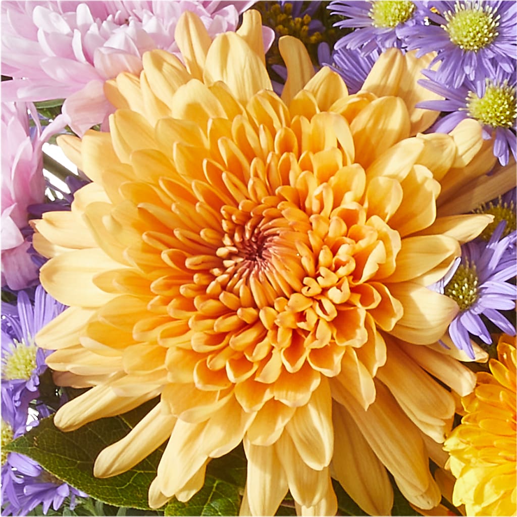 Countryside Bouquet –  Blossom Street Florist, Lauderhill FL