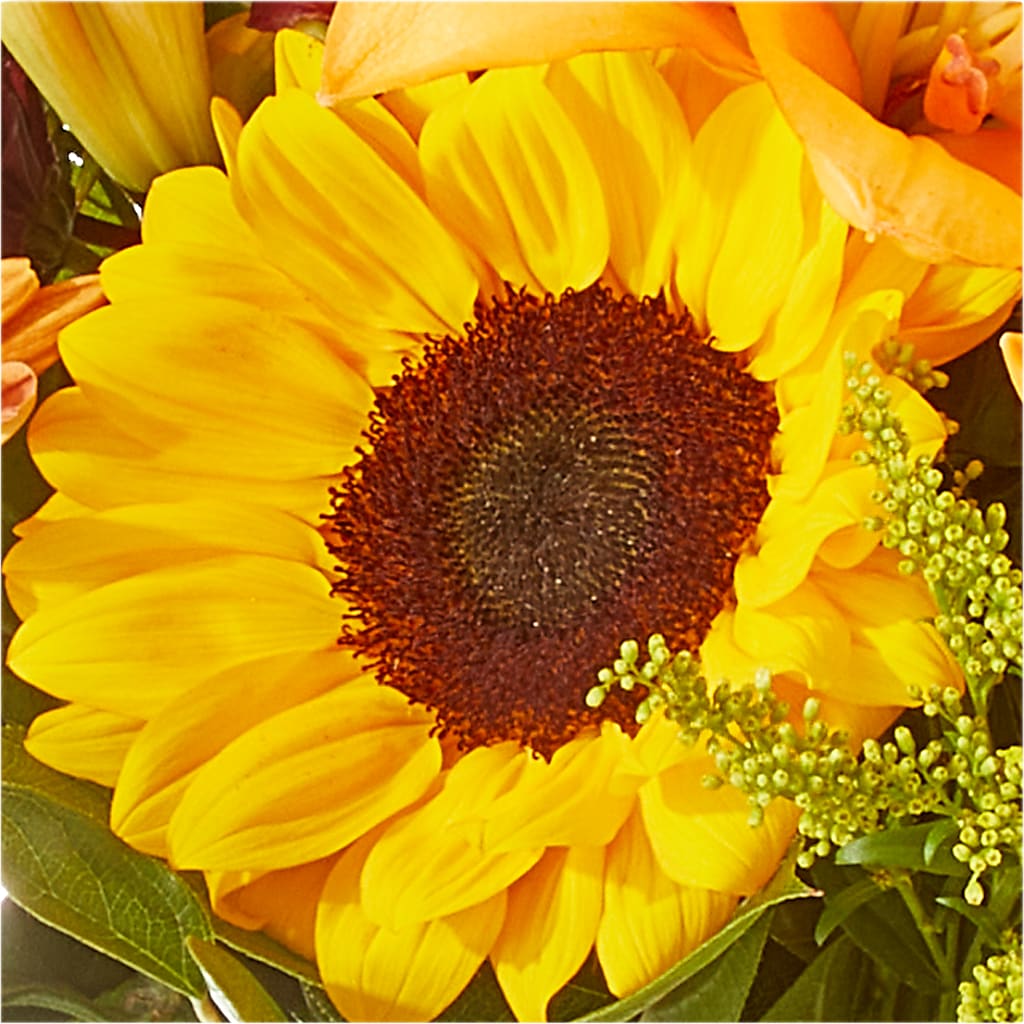 Seasons Change Bouquet –  Blossom Street Florist, Lauderhill FL