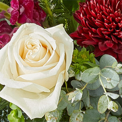 Cranberry Fizz Bouquet –  Blossom Street Florist, Lauderhill FL