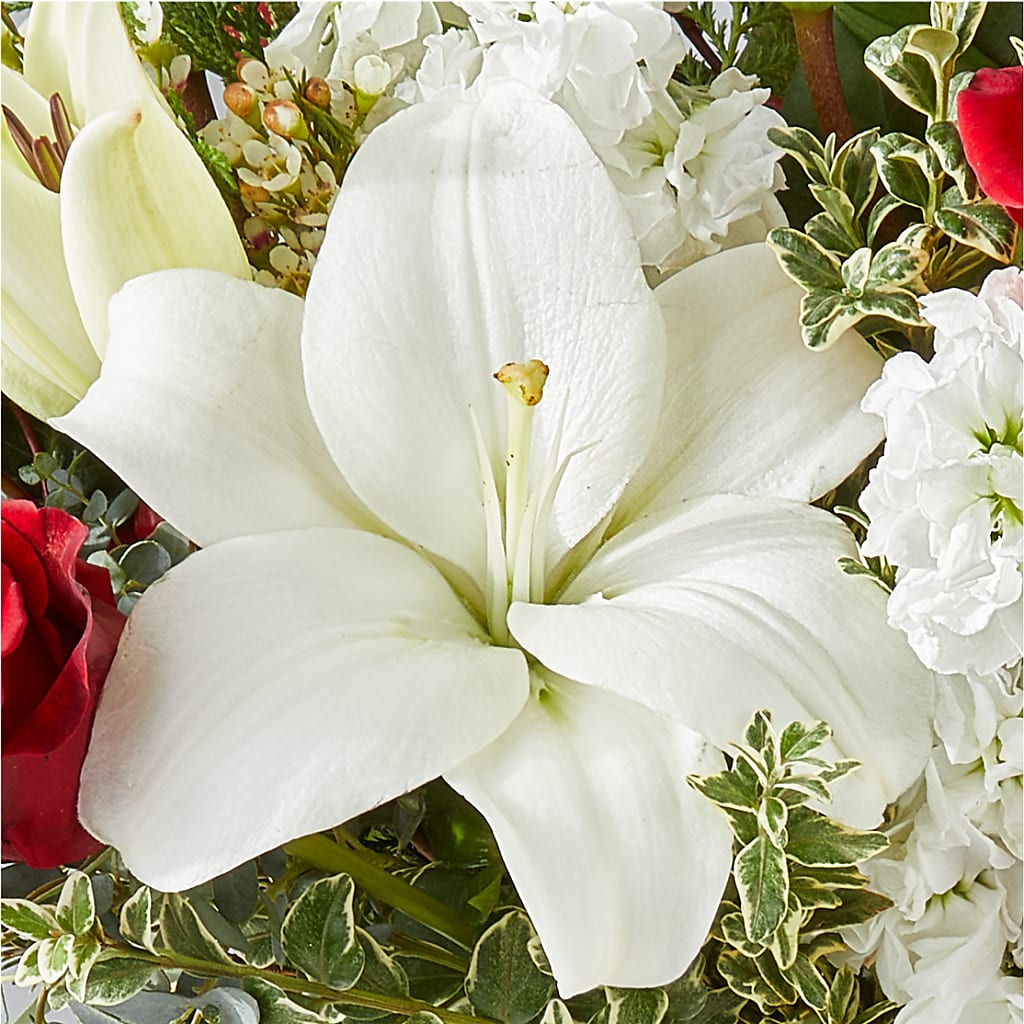 Twinkle Lights Bouquet –  Blossom Street Florist, Lauderhill FL