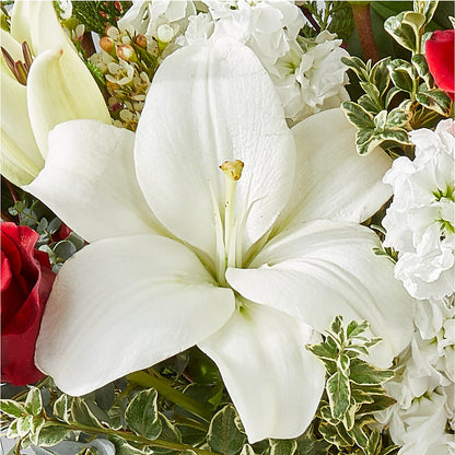 Twinkle Lights Bouquet –  Blossom Street Florist, Lauderhill FL