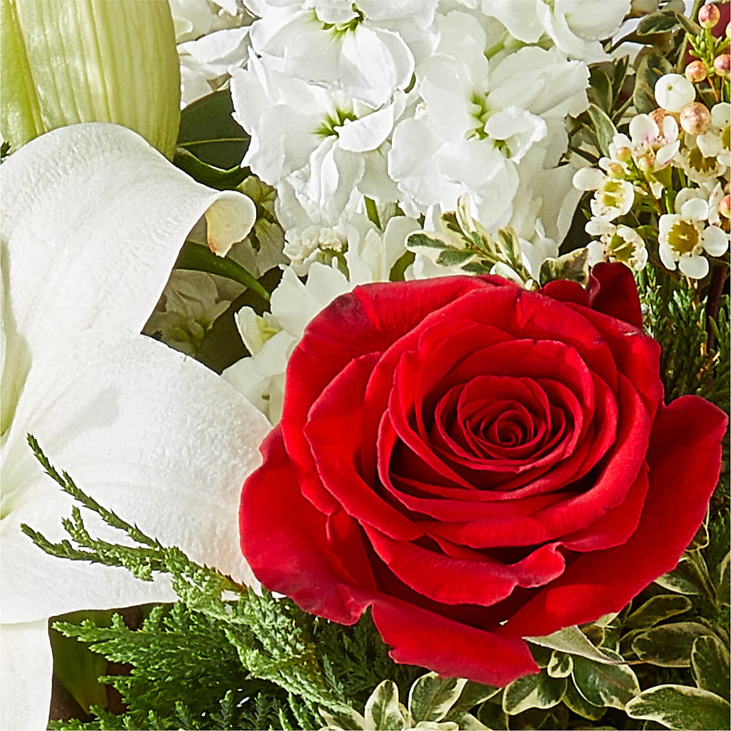 Twinkle Lights Bouquet –  Blossom Street Florist, Lauderhill FL