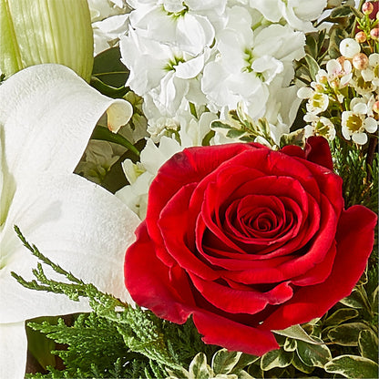 Twinkle Lights Bouquet –  Blossom Street Florist, Lauderhill FL
