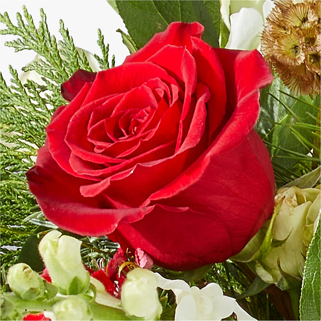 Deck the Halls Bouquet –  Blossom Street Florist, Lauderhill FL