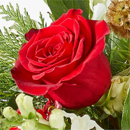 Deck the Halls Bouquet –  Blossom Street Florist, Lauderhill FL