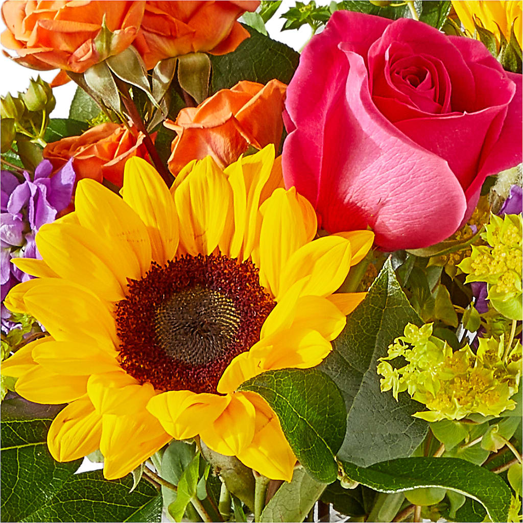 Vibrant Greetings Bouquet –  Blossom Street Florist, Lauderhill FL