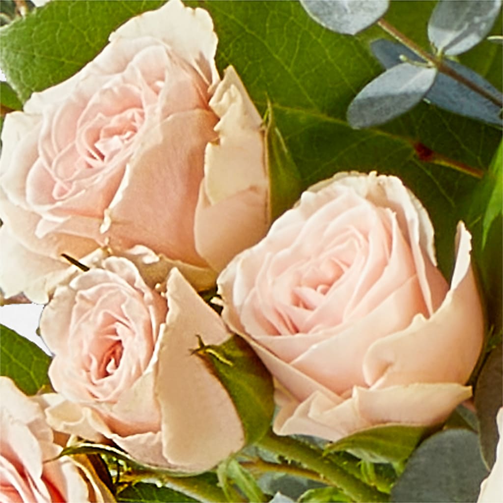 Inspired Bouquet –  Blossom Street Florist, Lauderhill FL
