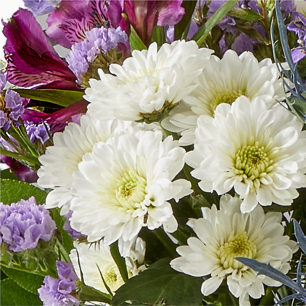 Shooting Star Bouquet –  Blossom Street Florist, Lauderhill FL