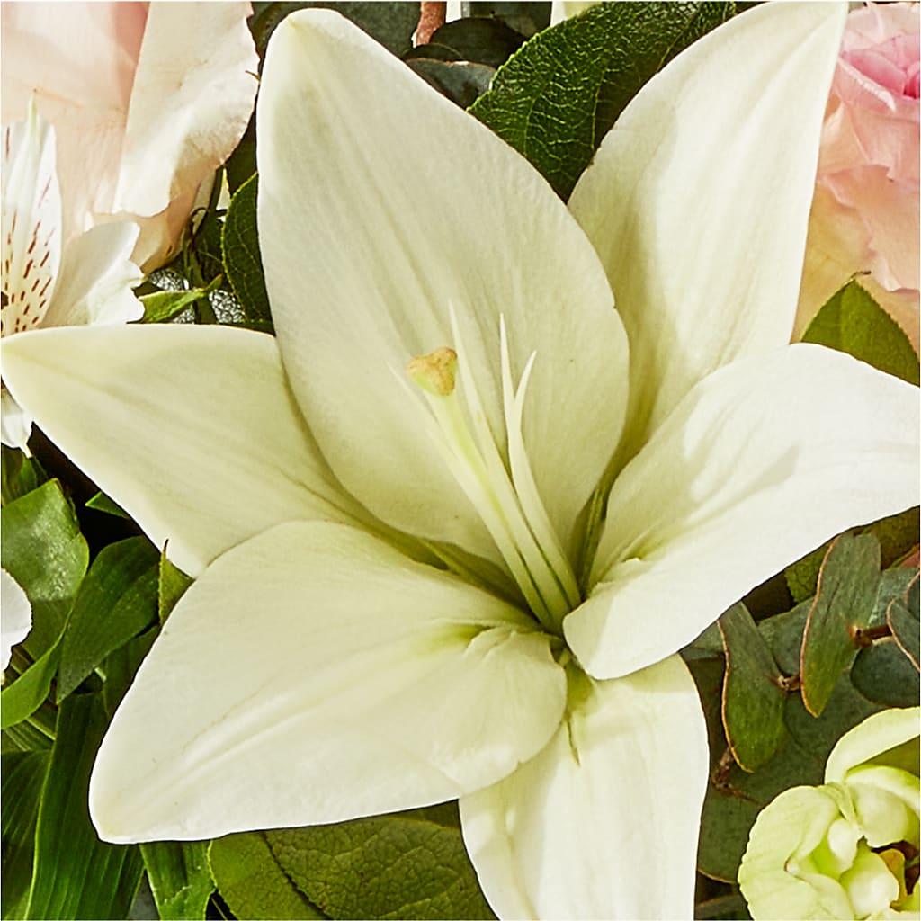 Ballet Slippers Bouquet –  Blossom Street Florist, Lauderhill FL