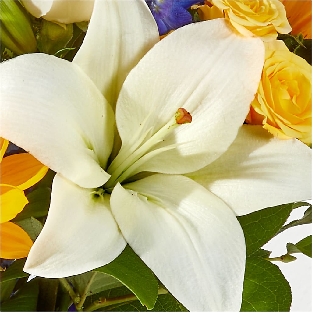 Wonderfully Sunny Bouquet –  Blossom Street Florist, Lauderhill FL