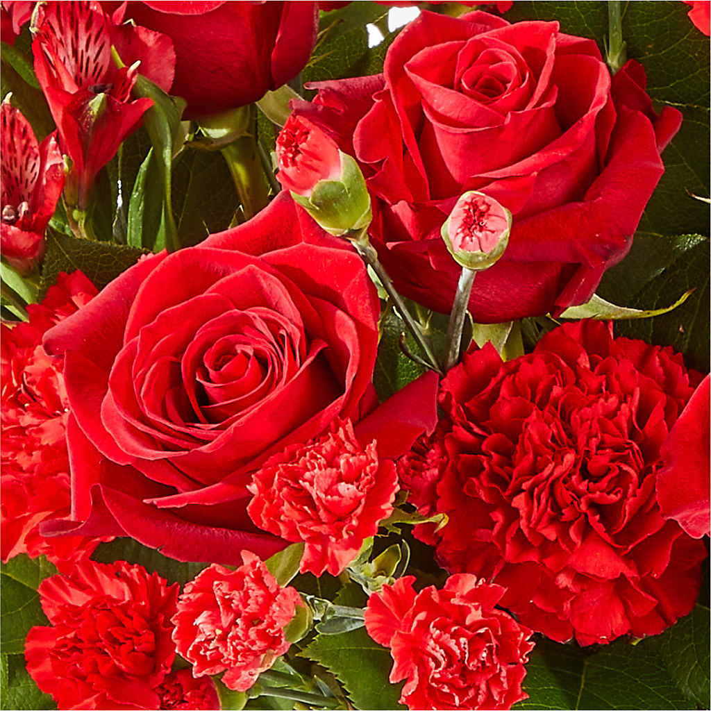 The Heartstrings Bouquet –  Blossom Street Florist, Lauderhill FL