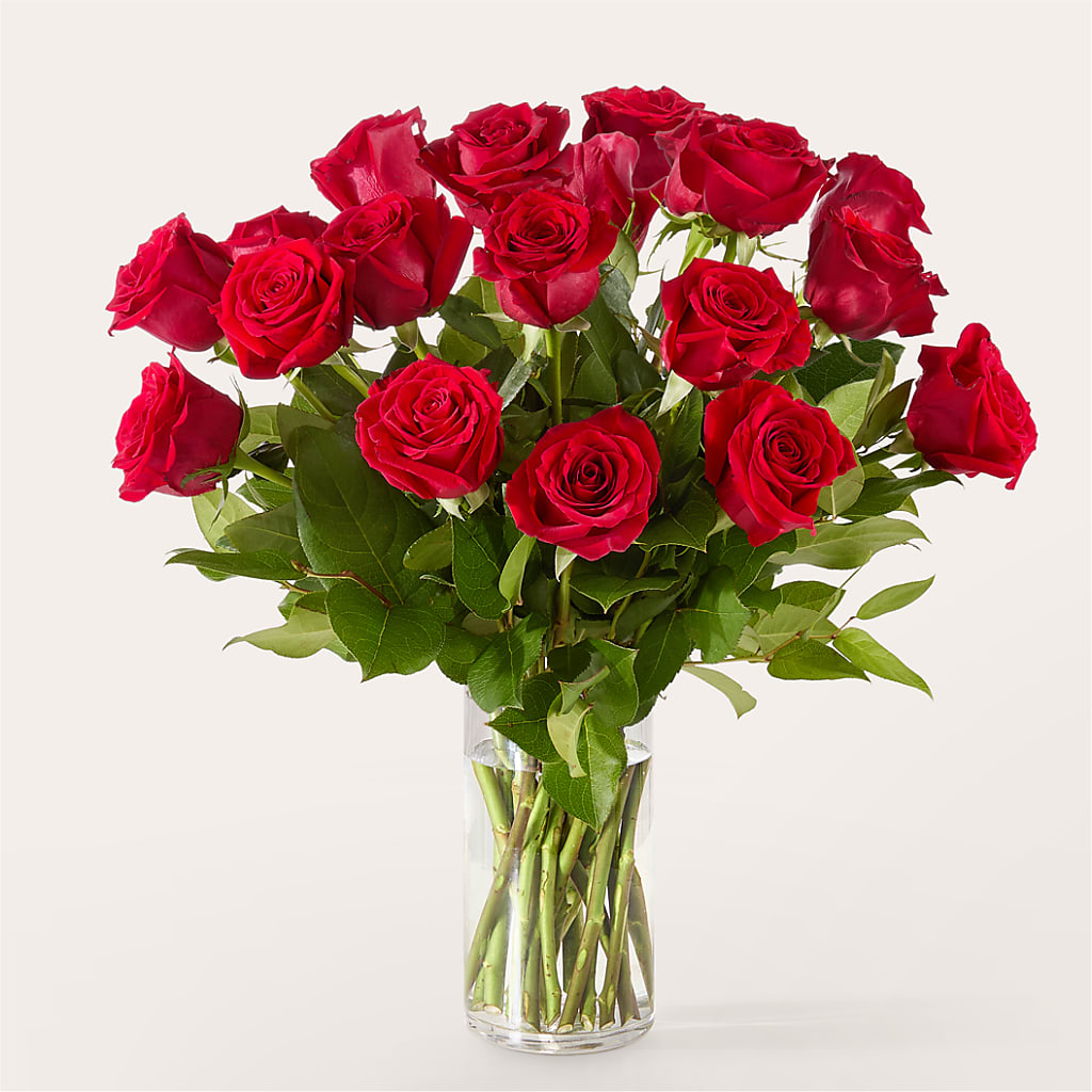 The One Red Rose Bouquet –  Blossom Street Florist, Lauderhill FL
