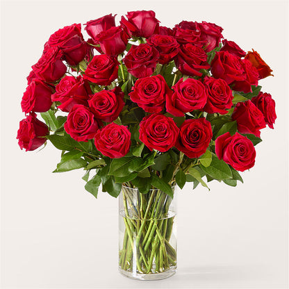 The One Red Rose Bouquet –  Blossom Street Florist, Lauderhill FL
