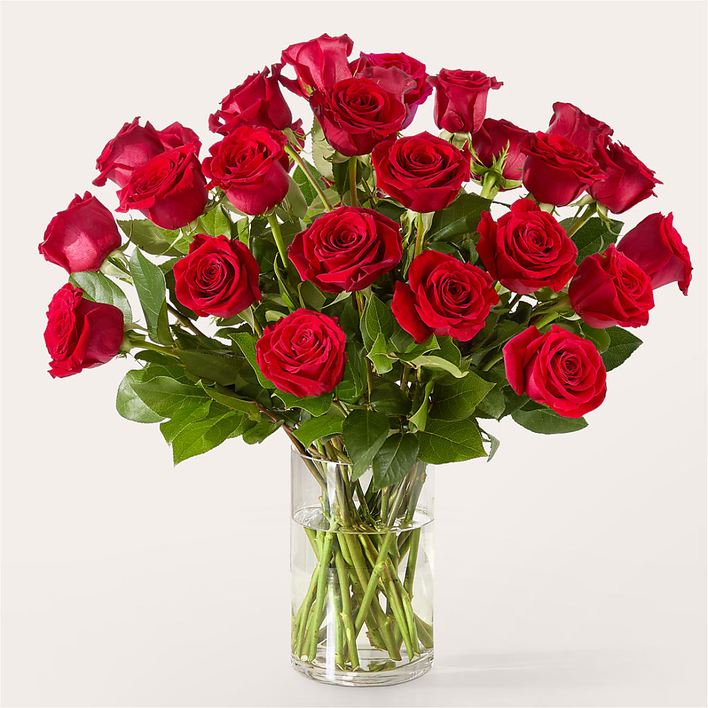 The One Red Rose Bouquet –  Blossom Street Florist, Lauderhill FL