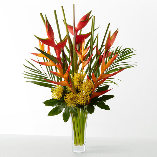 The Drama –  Blossom Street Florist, Lauderhill FL