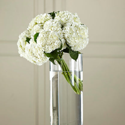 White Hydrangea Hand-Tied Bouquet –  Blossom Street Florist, Lauderhill FL