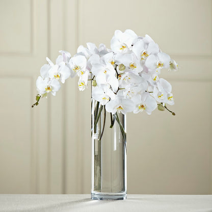 White Phalaenopsis Bouquet –  Blossom Street Florist, Lauderhill FL