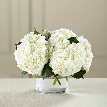 White Hydrangea Bouquet –  Blossom Street Florist, Lauderhill FL